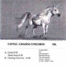 Castle (NL) : Chasing Unicorns